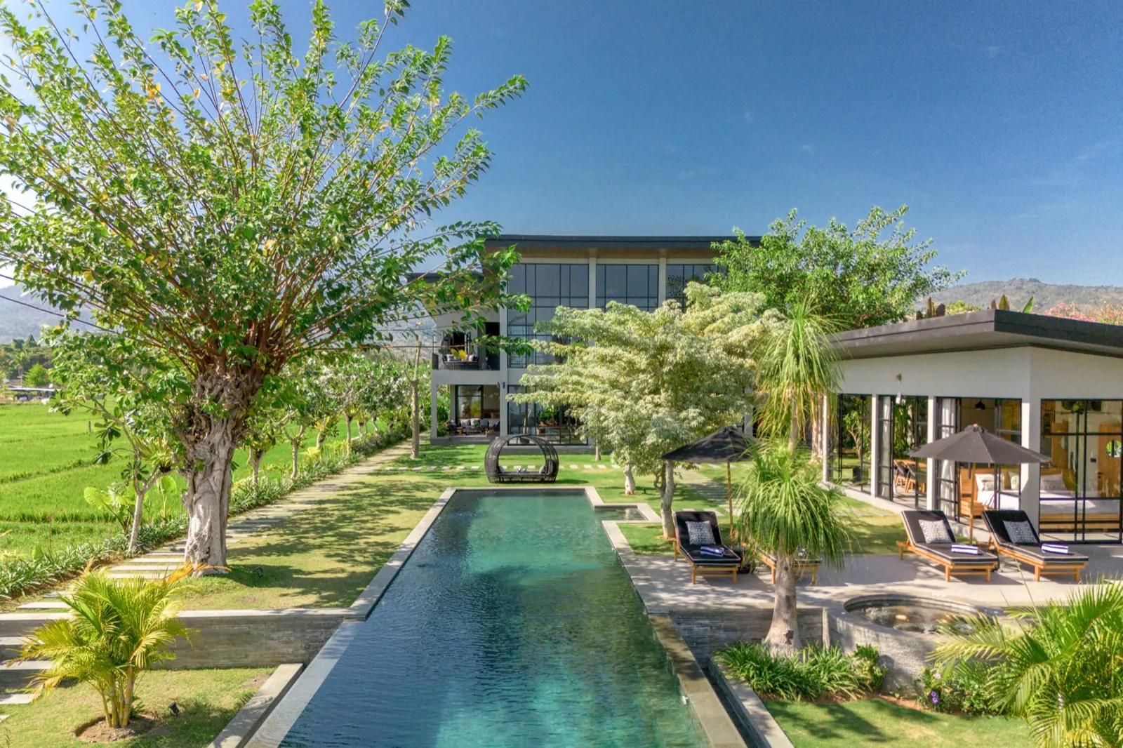 The house and its twenty-metre pool from the lawn, rice fields alongside