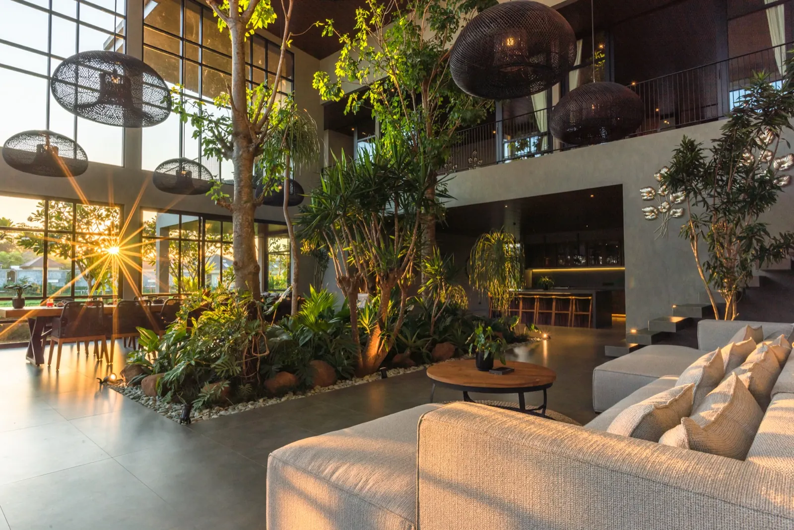 The living room at golden hour, trees overhead